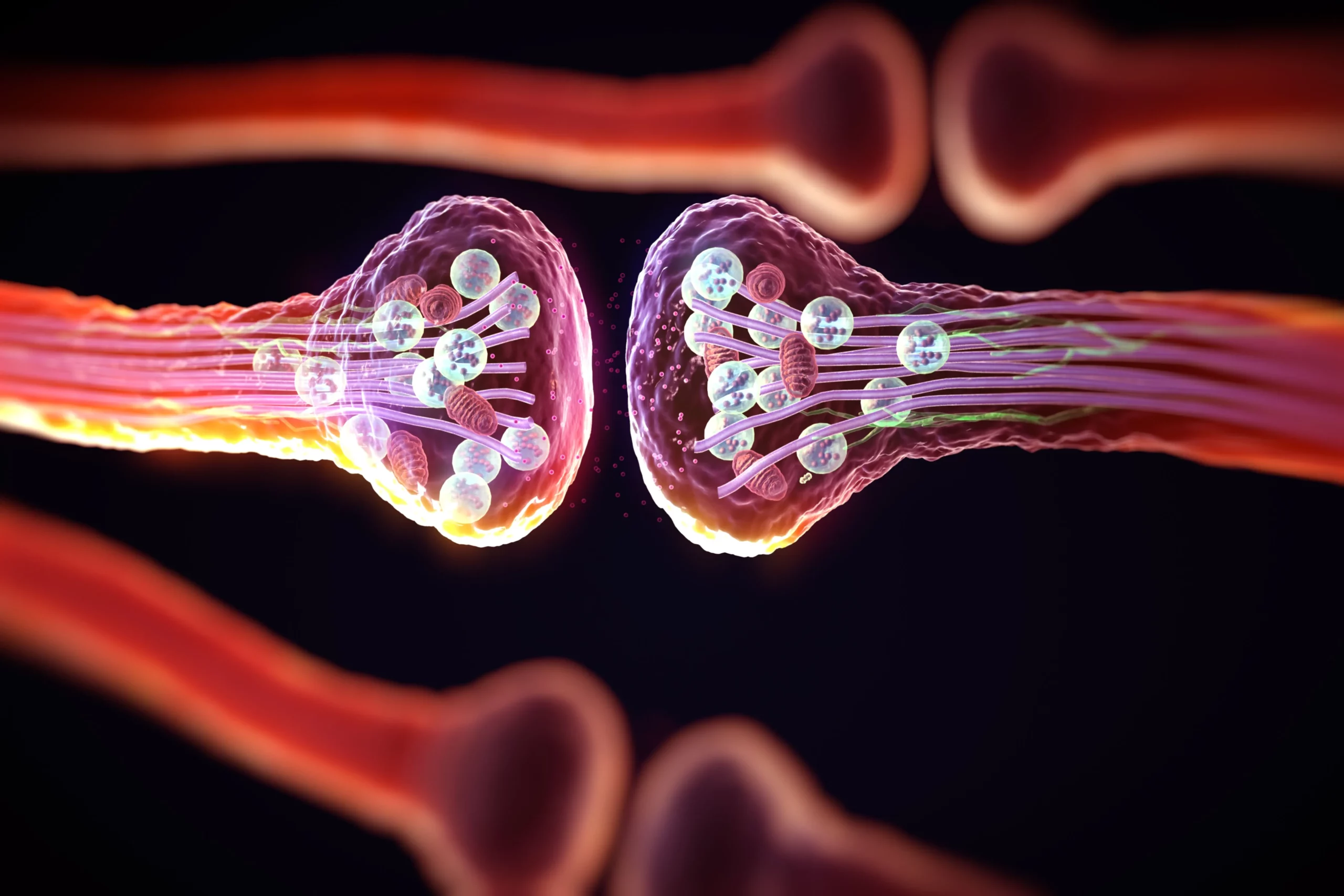 Scientists Create Detailed Brain Map, Find Mysterious Patterns