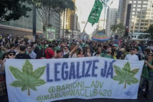 Brazil's Shift in Marijuana Policy: A New Chapter