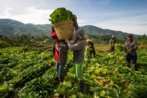 Ports of Prosperity: Philippines' New Strategy for Food Security