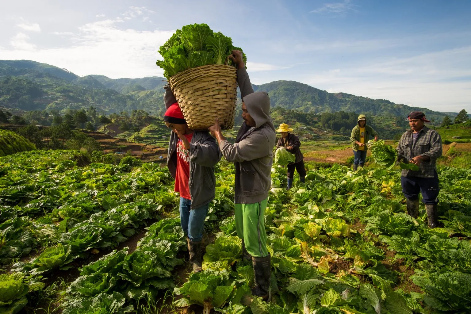 Ports of Prosperity: Philippines' New Strategy for Food Security