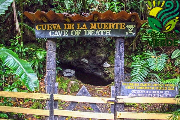 Mystery and Menace: Unveiling Costa Rica's "Cave of Death". (Photo Internet reproduction)