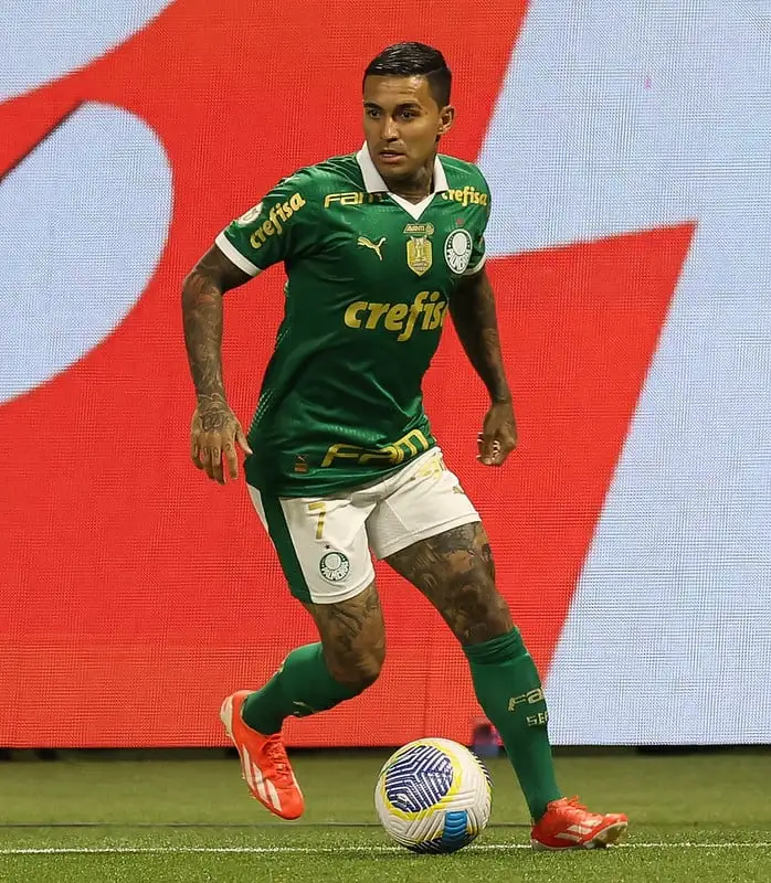 Palmeiras Wins: Strategy and Heart Define the Game. (Photo Internet reproduction)