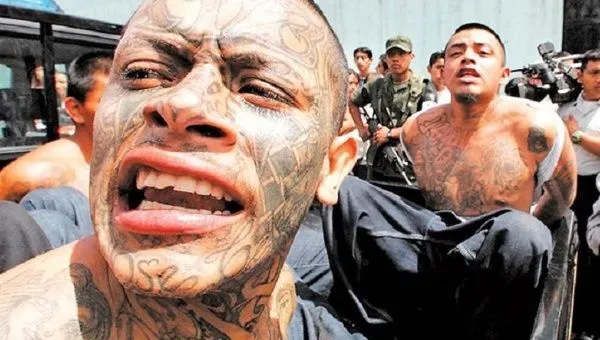 Gangs