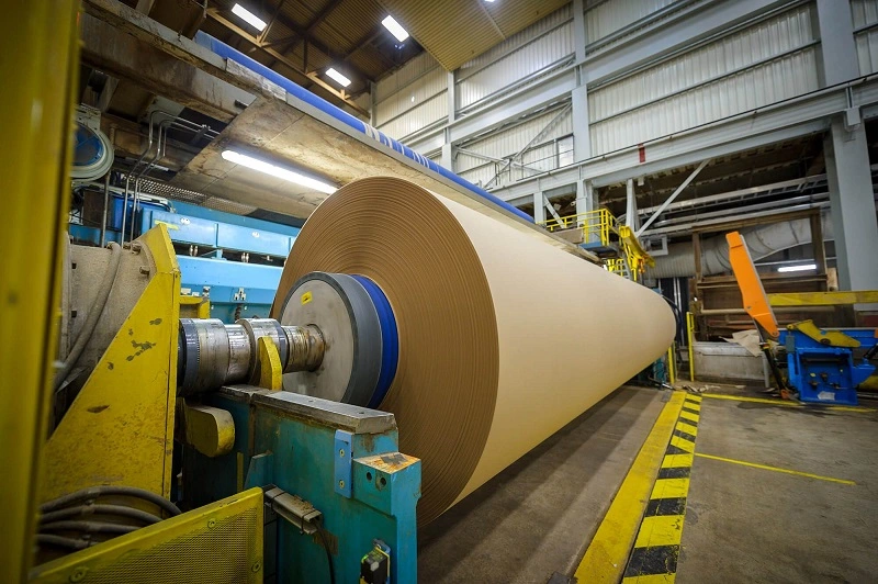 Market Cheers Suzano's Withdrawal from International Paper Deal