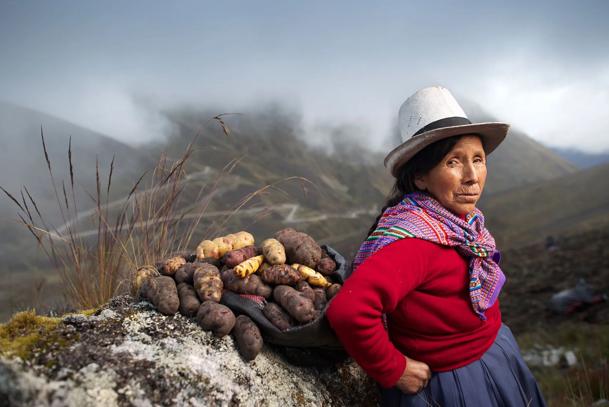 Green Gold: Peru's Soaring Agricultural Exports. (Photo Internet reproduction)
