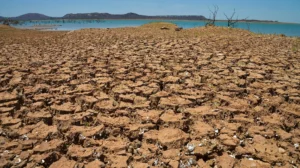 The Quiet Crisis: Desertification's Grip on Latin America