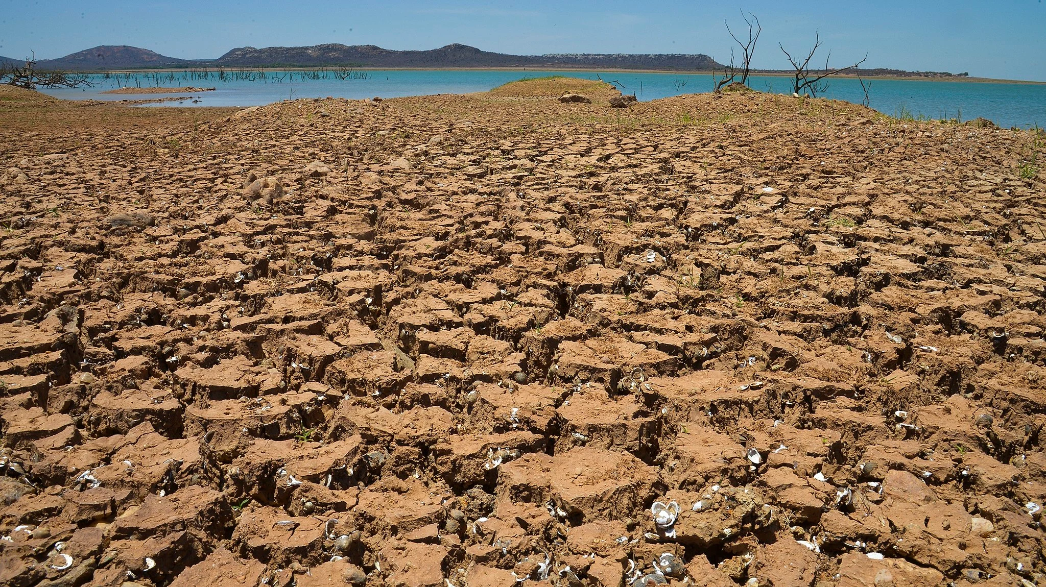 The Quiet Crisis: Desertification's Grip on Latin America