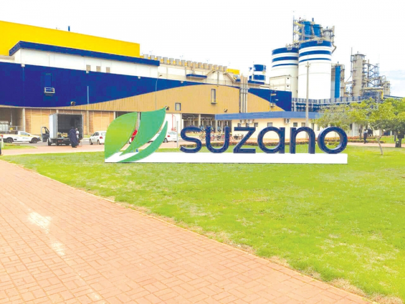 Suzano