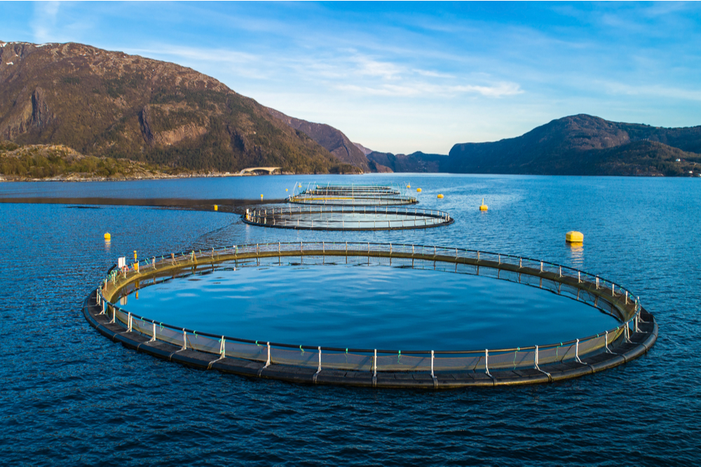 aquaculture-farm