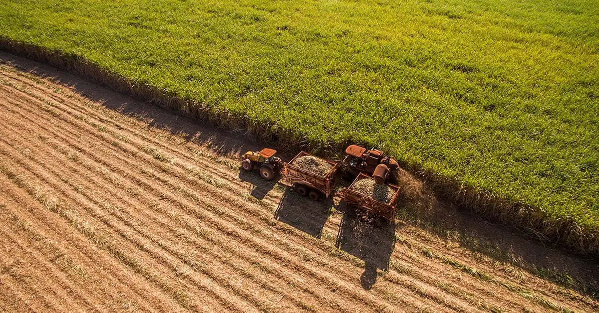 Colombia's Farm Exports Surge to a Three-Decade High