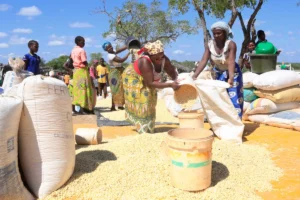 The New Wave of Mozambique's Economic Resilience