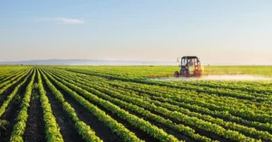 Brazil's Soybean Area Could Grow by 80%
