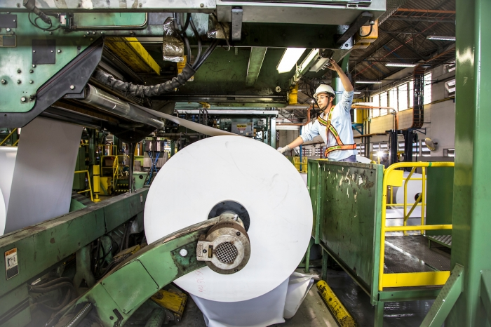 Suzano Ends Acquisition Talks with International Paper Over Pricing Concerns. (Photo Internet reproduction)
