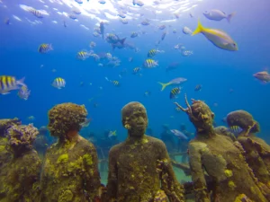 A World Adrift: Art Meets Ecology in the Caribbean Depths
