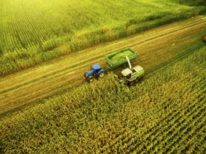 Surging Wealth in Brazilian Agribusiness: Fiagros' Net Worth Soars by 147%
