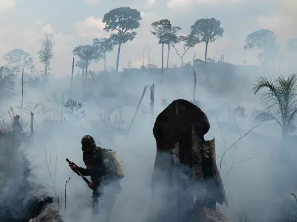 Amazon Fires