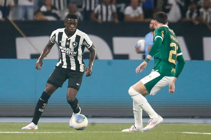 Botafogo Defeats Palmeiras 1-0, Retains Brasileirão Lead. (Photo Internet reproduction)