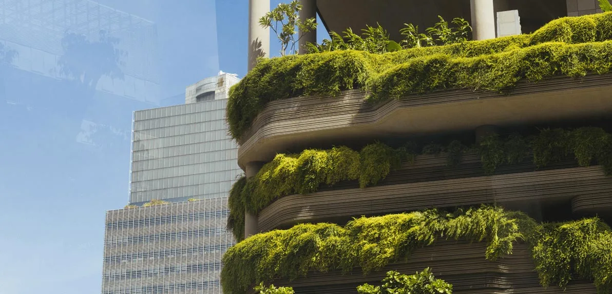 Carbon credit market