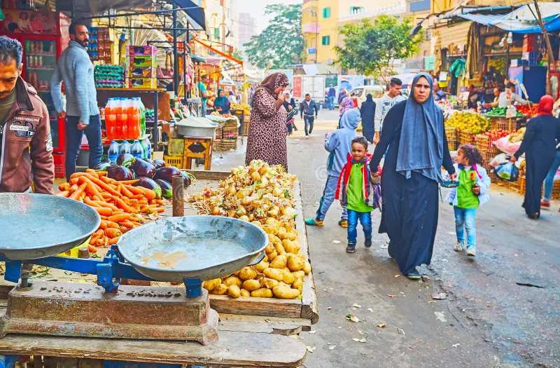 Egypt's Wheat Deal Boosts Food Security. (Photo Internet reproduction)