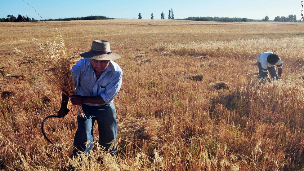 Economic Turmoil Hits Brazil's Farms: Further 20.5% Surge in Bankruptcy Filings. (Photo Internet reproduction)