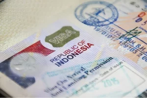 Indonesia's Golden Gateway: The New Visa Scheme Drawing Global Investors and Talent