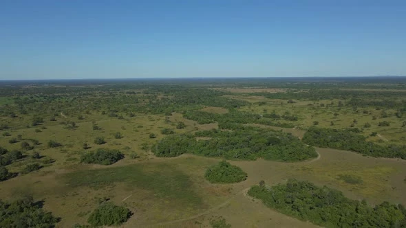 Water Woes in the World’s Largest Wetland: Pantanal's 2024 Drought - No Water as Far as the Eye Can See. (Photo Internet reproduction)