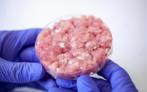 Pet Food Revolution: UK Leads with First Approved Lab-Grown Meat
