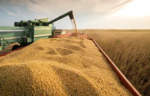 Brazil's Soy Surge: A Robust Outlook for the 2023/24 Harvest