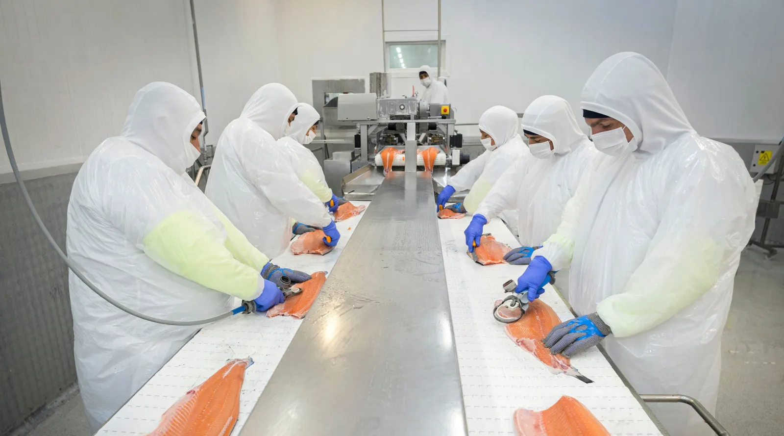 Brazil Ascends as Chile’s Third Largest Export Market