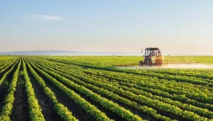 Brazil's 2024 Crop Forecast: A Shift in Farming Priorities