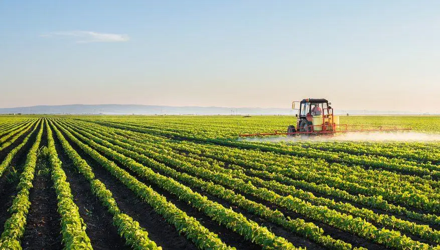 Brazil's 2024 Crop Forecast: A Shift in Farming Priorities
