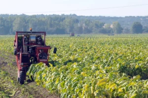 Brazil's Agribusiness Nets $82.39 Billion in H1 2024