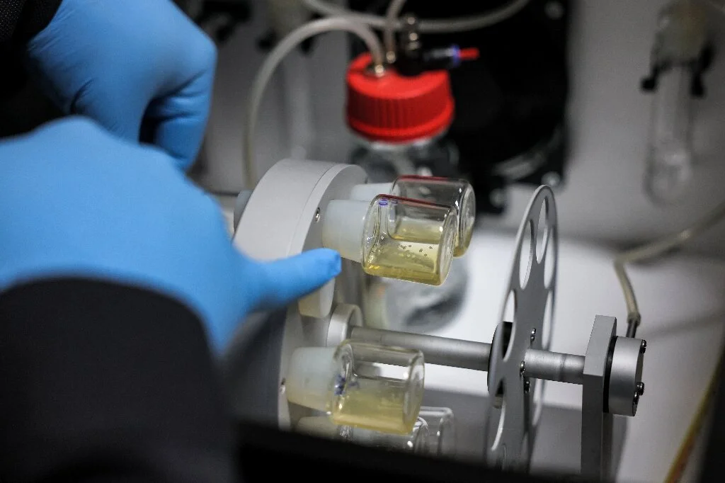 U.K. Pioneers Ethical Framework for Embryo Research
