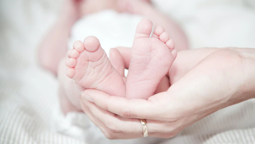 Uruguay's Birthrate: A Century-Long Decline
