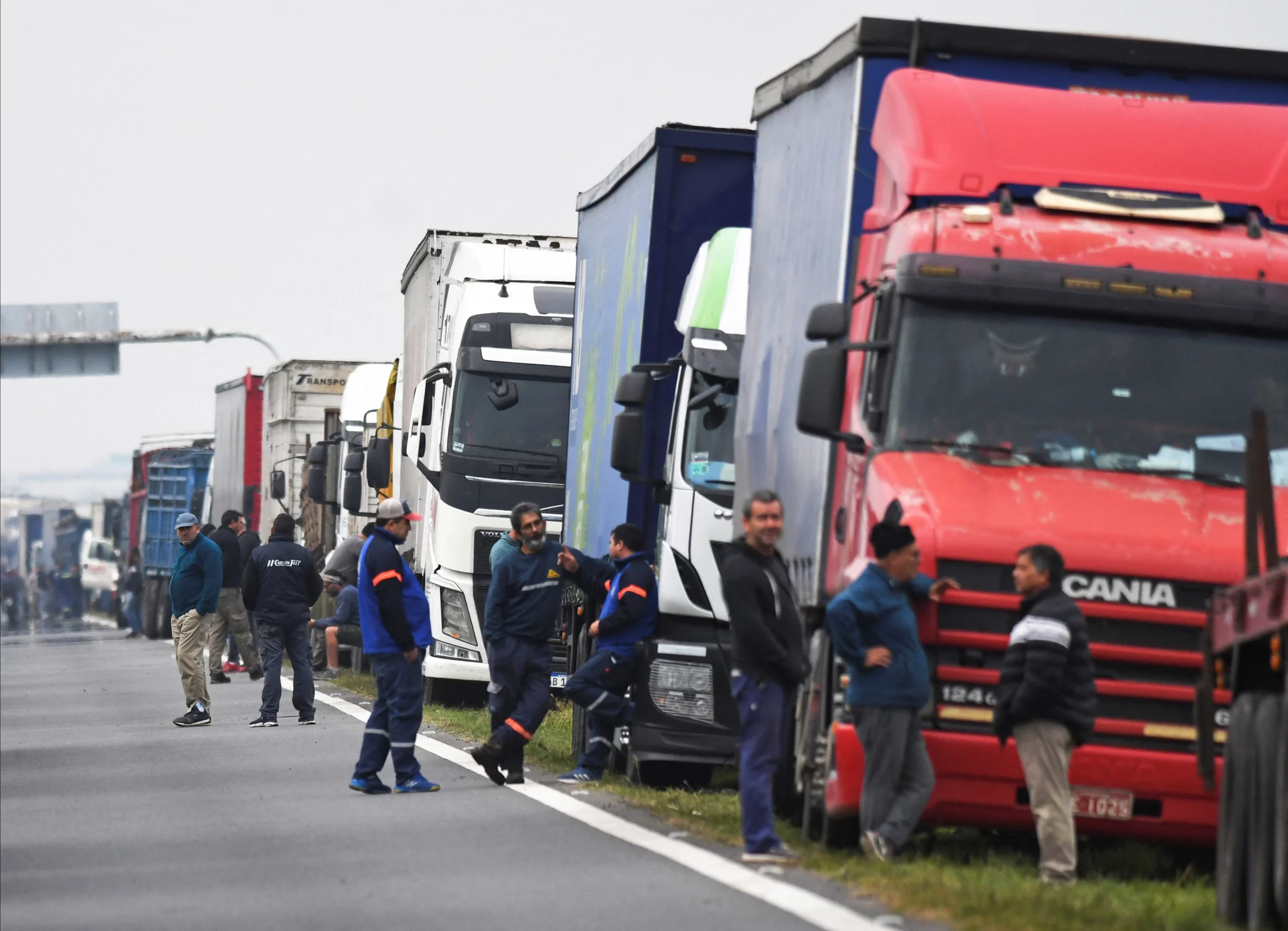 Argentina's Soybean Shipment Stall: A Closer Look at the Strike Impact
