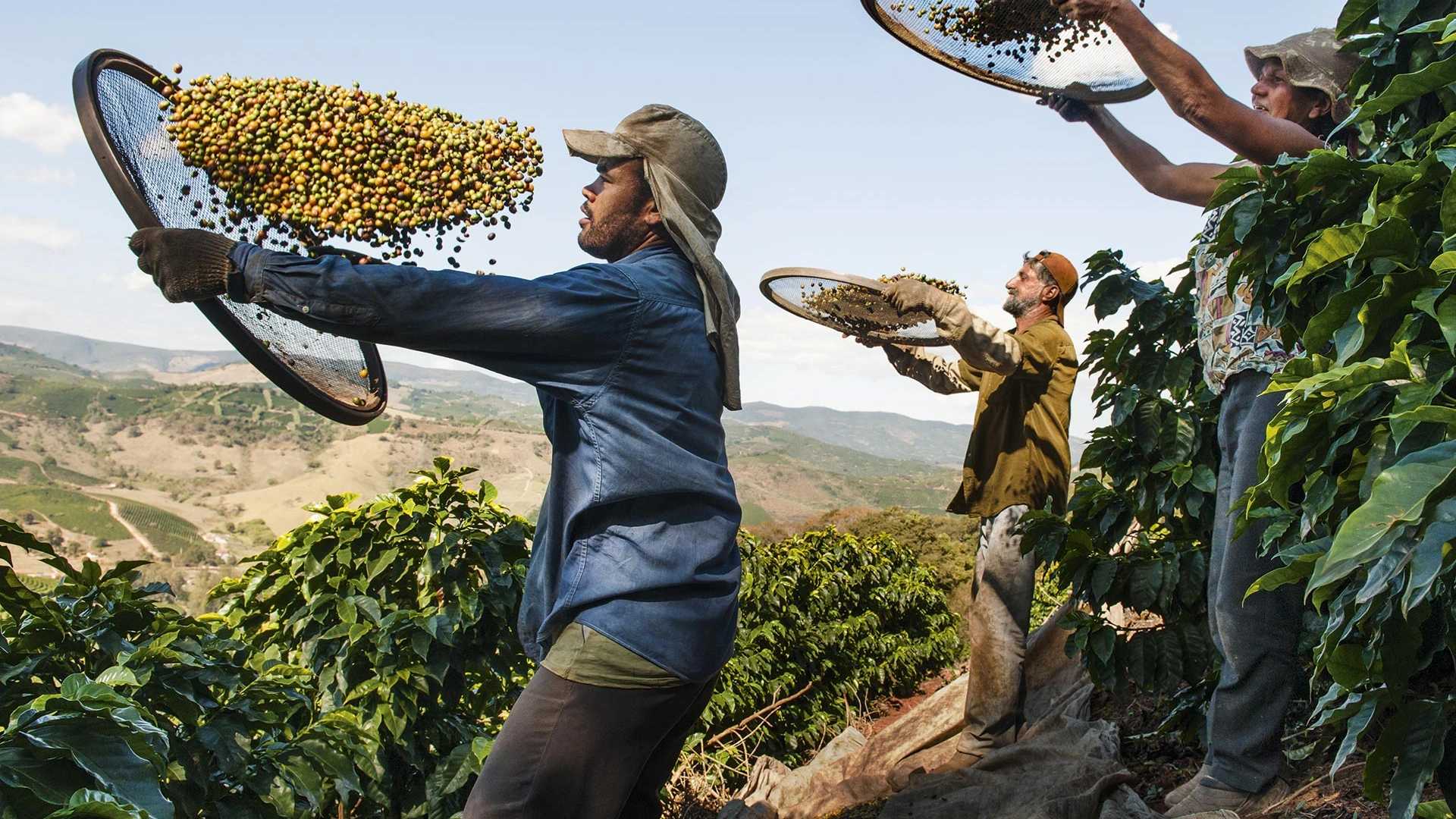 Brazilian Coffee Exports to China Surge Nearly 40% in 2024. (Photo Internet reproduction)
