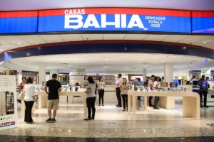 Q2 2024 Earnings: Casas Bahia Profit Surge, Energisa Stays Steady, Minerva Faces Decline