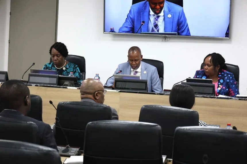 26 Nations Unite: The Tripartite Free Trade Area Takes Shape in Africa