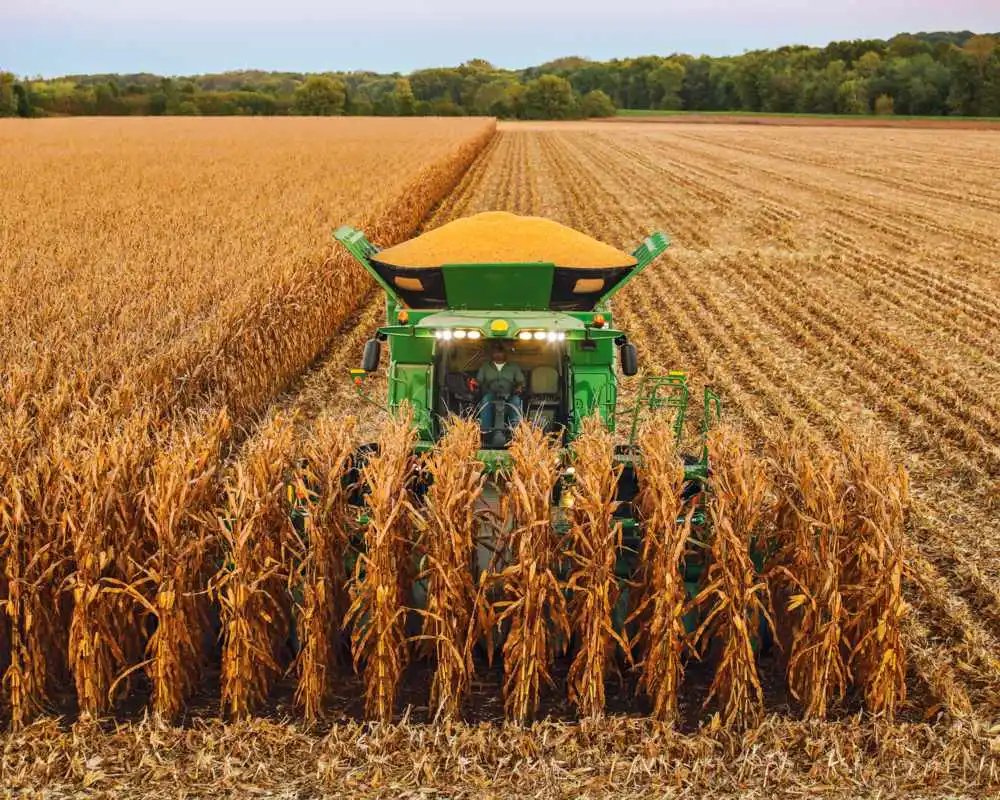 Corn Prices Drop to Four-Year Low Amid Robust U.S. Harvest