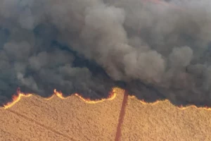 São Martinho's Swift Response to 20,000 Hectare Sugar Cane Fire