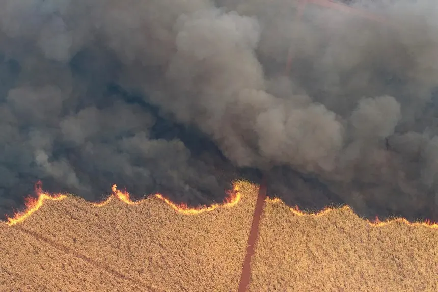 São Martinho's Swift Response to 20,000 Hectare Sugar Cane Fire