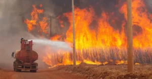 Fires in Brazil's Sugarcane Fields: A Ripple Across Global Markets