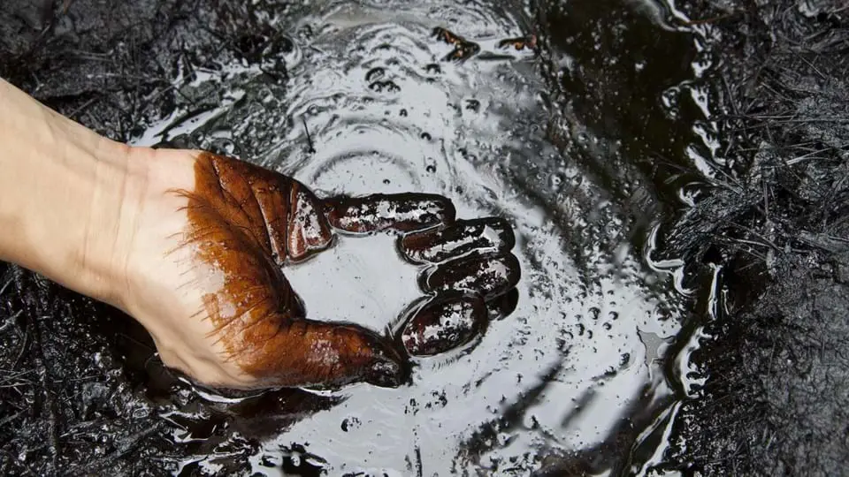 S&P Global States Latin America Accounts for 40% of Oil Discoveries Worldwide. (Photo Internet reproduction)