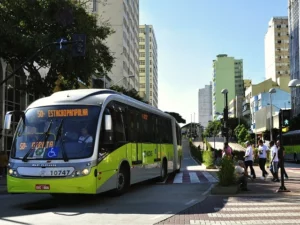 A Notable Surge in Brazil's Service Sector: A June 2024 Analysis