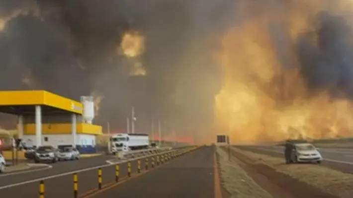 41 Cities in São Paulo State Battle Violent Fires, Emergency Declared. (Photo Internet reproduction)