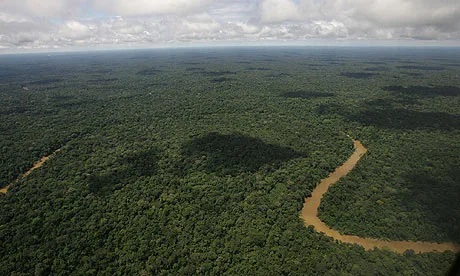 Yasuni