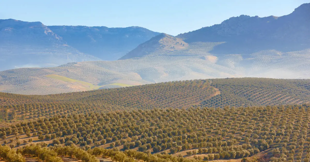 andalusia