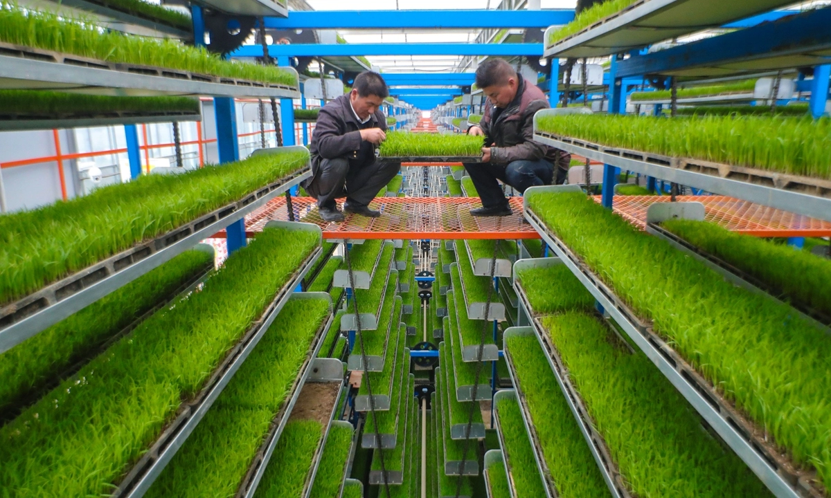 China's Agricultural Pivot: Nurturing Seeds of Self-Reliance