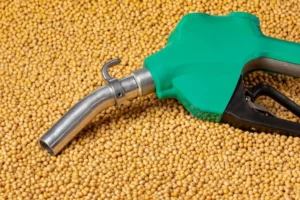 Brazil's Soy and Biodiesel Sector Faces 5.33% GDP Decline in 2024