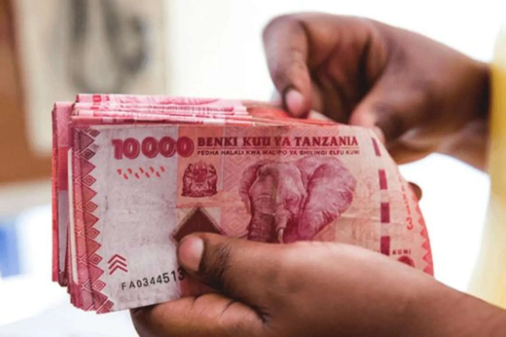 Navigating Tanzania's Economic Landscape in 2024